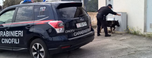 Barletta – Operazioni antidroga dei Carabinieri: 3 arresti