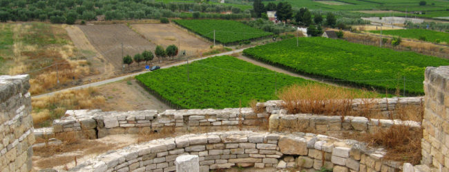 Canne della Battaglia – Il sito archeologico chiuso a Ferragosto. Il commento di Vinella