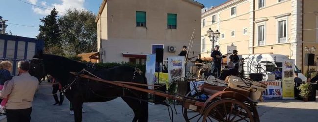 Montegrosso – Monterisi (La Piscara): “San Martino, tanto l’impegno profuso”