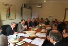 Puglia – Grave crisi olivicola, Anci: nella BAT si registra una perdita di prodotto del 90%