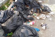 Bisceglie – Pro Natura, iniziata rimozione rifiuti abbandonati sulle piazzole di sosta SS16