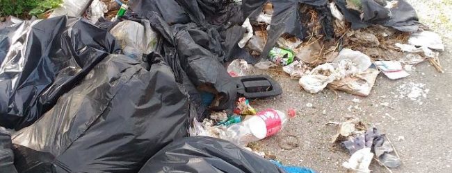 Bisceglie – Pro Natura, iniziata rimozione rifiuti abbandonati sulle piazzole di sosta SS16