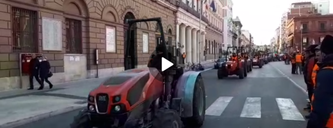 Andria – Sindaco Giorgino: protesta agricoltori necessaria per sollecitare interventi seri a supporto economia del territorio