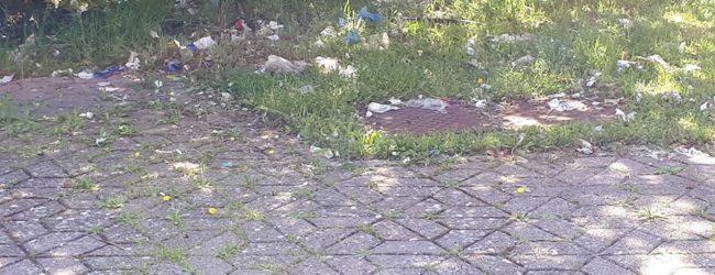 Andria – Grandi pulizie nel Parco Europa dopo la pubblicazione delle immagini dello scempio ambientale