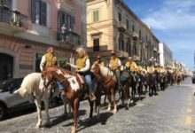 Trani – A spasso per la città duecento cavalli. VIDEO e FOTO