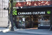 Cannabis – Con gli shop calano spaccio e fatturato delle mafie