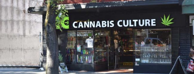 Cannabis – Con gli shop calano spaccio e fatturato delle mafie
