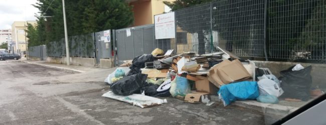 Andria – Abbandono rifiuti, Forum Ambiente Salute: “Ai cittadini indisciplinati diciamo chiaramente: ora basta!”
