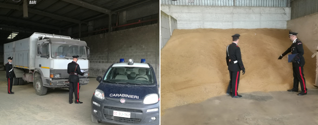 Spinazzola – I carabinieri di Andria arrestano 2 persone per ingente furto di grano