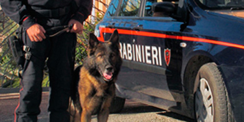 Andria – Controlli serrati dei Carabinieri: pusher arrestato in via Cavallotti e due persone denunciate