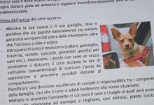Legge regionale sul Randagismo, videointervista all’avv. Vaccariello referente legale ENPA Puglia