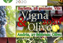 Andria – Ultimo appuntamento di “Vigna & Olivo 2020”: l’Olivicoltura tra innovazione e sostenibilità