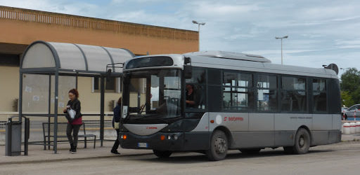 Barletta – Sospeso il trasporto pubblico locale