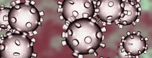 Bat – Bollettino coronavirus: 2 decessi e un solo nuovo caso